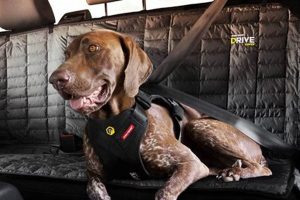 Top-Rated Dog Car Harnesses: Wirecutter's Best Picks My Caring Dog – Tips, Stories, and Care Guides for Loving Pet Owners Top-Rated Dog Car Harnesses: Wirecutter's Best Picks | My Caring Dog – Tips, Stories, and Care Guides for Loving Pet Owners