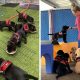 Best Service Dog Resources | service dog.org | My Caring Dog – Tips, Stories, and Care Guides for Loving Pet Owners