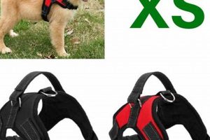 Best XS Dog Car Harnesses for Safe Travel My Caring Dog – Tips, Stories, and Care Guides for Loving Pet Owners Best XS Dog Car Harnesses for Safe Travel | My Caring Dog – Tips, Stories, and Care Guides for Loving Pet Owners