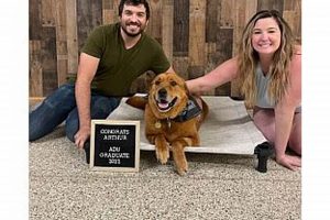 Service Dog Training Kansas City Mo My Caring Dog – Tips, Stories, and Care Guides for Loving Pet Owners Service Dog Training Kansas City Mo | My Caring Dog – Tips, Stories, and Care Guides for Loving Pet Owners