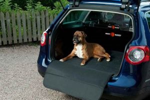 Safest Way To Transport A Dog In A Car My Caring Dog – Tips, Stories, and Care Guides for Loving Pet Owners Safest Way To Transport A Dog In A Car | My Caring Dog – Tips, Stories, and Care Guides for Loving Pet Owners