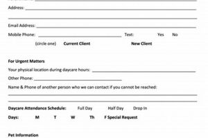 Get Your Dog Day Care License: Requirements & Tips My Caring Dog – Tips, Stories, and Care Guides for Loving Pet Owners Get Your Dog Day Care License: Requirements & Tips | My Caring Dog – Tips, Stories, and Care Guides for Loving Pet Owners