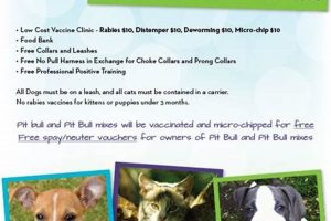 Best Dog Day Care in Frederick, MD | My Caring Dog – Tips, Stories, and Care Guides for Loving Pet Owners