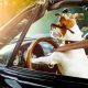 Dog Car | My Caring Dog – Tips, Stories, and Care Guides for Loving Pet Owners