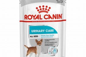 Best Urinary Care Wet Dog Food for UT Health My Caring Dog – Tips, Stories, and Care Guides for Loving Pet Owners Best Urinary Care Wet Dog Food for UT Health | My Caring Dog – Tips, Stories, and Care Guides for Loving Pet Owners
