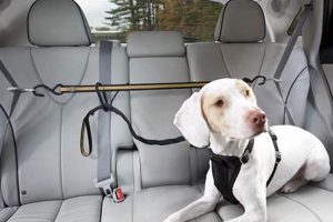 Best Dog Safety Belts for Cars: Top Picks My Caring Dog – Tips, Stories, and Care Guides for Loving Pet Owners Best Dog Safety Belts for Cars: Top Picks | My Caring Dog – Tips, Stories, and Care Guides for Loving Pet Owners