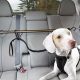 Best Dog Safety Belts for Cars: Top Picks | My Caring Dog – Tips, Stories, and Care Guides for Loving Pet Owners