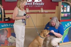 Best Total Pet Care Dog Training Guide | My Caring Dog – Tips, Stories, and Care Guides for Loving Pet Owners