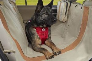 Best Kurgo Dog Car Seat Covers: Ultimate Guide My Caring Dog – Tips, Stories, and Care Guides for Loving Pet Owners Best Kurgo Dog Car Seat Covers: Ultimate Guide | My Caring Dog – Tips, Stories, and Care Guides for Loving Pet Owners