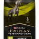 Best Purina Liver Care Dog Food for Senior Dogs | My Caring Dog – Tips, Stories, and Care Guides for Loving Pet Owners