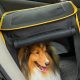 Dog Car Travel Crate | My Caring Dog – Tips, Stories, and Care Guides for Loving Pet Owners