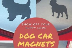 Cute Dog Magnets for Cars: Pawsome Rides My Caring Dog – Tips, Stories, and Care Guides for Loving Pet Owners Cute Dog Magnets for Cars: Pawsome Rides | My Caring Dog – Tips, Stories, and Care Guides for Loving Pet Owners