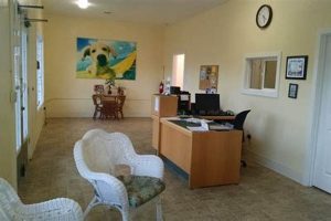 Best Dirty Dog Day Care in Ukiah CA: Muddy Paws Welcome My Caring Dog – Tips, Stories, and Care Guides for Loving Pet Owners Best Dirty Dog Day Care in Ukiah CA: Muddy Paws Welcome | My Caring Dog – Tips, Stories, and Care Guides for Loving Pet Owners