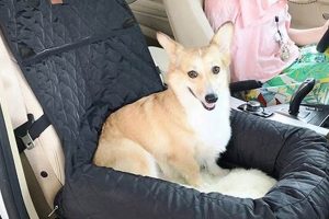 Best Dog Car Seats for Medium-Sized Dogs: Top Picks | My Caring Dog – Tips, Stories, and Care Guides for Loving Pet Owners