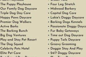 Catchy Dog Day Care Name Ideas & Suggestions My Caring Dog – Tips, Stories, and Care Guides for Loving Pet Owners Catchy Dog Day Care Name Ideas & Suggestions | My Caring Dog – Tips, Stories, and Care Guides for Loving Pet Owners