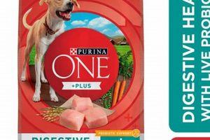 Best Digestive Care Dog Food My Caring Dog – Tips, Stories, and Care Guides for Loving Pet Owners Best Digestive Care Dog Food | My Caring Dog – Tips, Stories, and Care Guides for Loving Pet Owners
