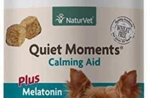 Best Over-the-Counter Dog Sedatives for Safe Car Travel | My Caring Dog – Tips, Stories, and Care Guides for Loving Pet Owners