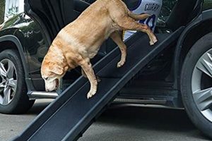 Top Dog Ramps for Car Side Doors: Safe & Easy Entry | My Caring Dog – Tips, Stories, and Care Guides for Loving Pet Owners