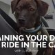 Dog Car Training: Easy Steps for Safe Rides | My Caring Dog – Tips, Stories, and Care Guides for Loving Pet Owners