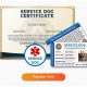 Legit Online Service Dog Certification: Guide | My Caring Dog – Tips, Stories, and Care Guides for Loving Pet Owners