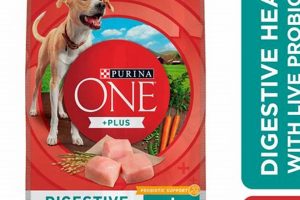 Best Digestive Care Dog Food at Walmart My Caring Dog – Tips, Stories, and Care Guides for Loving Pet Owners Best Digestive Care Dog Food at Walmart | My Caring Dog – Tips, Stories, and Care Guides for Loving Pet Owners
