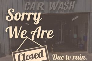 Wet Dog Car Wash Easton Md My Caring Dog – Tips, Stories, and Care Guides for Loving Pet Owners Wet Dog Car Wash Easton Md | My Caring Dog – Tips, Stories, and Care Guides for Loving Pet Owners