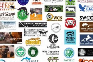 Top Animal Organizations Near Me: Find Help & Adopt My Caring Dog – Tips, Stories, and Care Guides for Loving Pet Owners Top Animal Organizations Near Me: Find Help & Adopt | My Caring Dog – Tips, Stories, and Care Guides for Loving Pet Owners