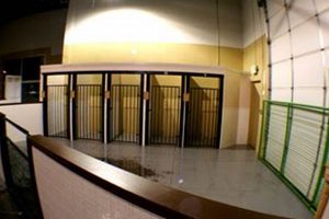 Top-Rated Dog Day Care in Reno, NV | My Caring Dog – Tips, Stories, and Care Guides for Loving Pet Owners
