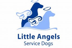Little Angels Service Dogs: Costs & Fees Explained My Caring Dog – Tips, Stories, and Care Guides for Loving Pet Owners Little Angels Service Dogs: Costs & Fees Explained | My Caring Dog – Tips, Stories, and Care Guides for Loving Pet Owners