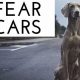 How To Train A Dog To Be Afraid Of Cars | My Caring Dog – Tips, Stories, and Care Guides for Loving Pet Owners