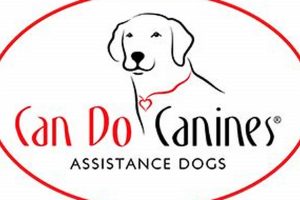Top Can Do Canines: Car Dog Edition My Caring Dog – Tips, Stories, and Care Guides for Loving Pet Owners Top Can Do Canines: Car Dog Edition | My Caring Dog – Tips, Stories, and Care Guides for Loving Pet Owners