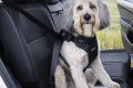 Top 5 Best Dog Car Seat Harnesses for Safe Travels | My Caring Dog – Tips, Stories, and Care Guides for Loving Pet Owners