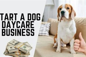 Start & Grow Your Dog Day Care Business: A Guide My Caring Dog – Tips, Stories, and Care Guides for Loving Pet Owners Start & Grow Your Dog Day Care Business: A Guide | My Caring Dog – Tips, Stories, and Care Guides for Loving Pet Owners