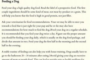 A+ Essay: How to Take Care of a Dog Guide My Caring Dog – Tips, Stories, and Care Guides for Loving Pet Owners A+ Essay: How to Take Care of a Dog Guide | My Caring Dog – Tips, Stories, and Care Guides for Loving Pet Owners