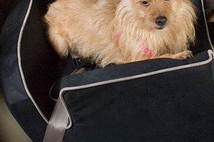 Best Petco Dog Car Seats: Safe & Secure Travel My Caring Dog – Tips, Stories, and Care Guides for Loving Pet Owners Best Petco Dog Car Seats: Safe & Secure Travel | My Caring Dog – Tips, Stories, and Care Guides for Loving Pet Owners