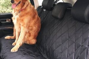 Best Dog Car Blanket: Ultimate Pet Travel Guide My Caring Dog – Tips, Stories, and Care Guides for Loving Pet Owners Best Dog Car Blanket: Ultimate Pet Travel Guide | My Caring Dog – Tips, Stories, and Care Guides for Loving Pet Owners