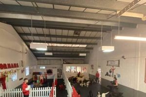 Best Dog Day Care in Bournemouth | Top Kennels My Caring Dog – Tips, Stories, and Care Guides for Loving Pet Owners Best Dog Day Care in Bournemouth | Top Kennels | My Caring Dog – Tips, Stories, and Care Guides for Loving Pet Owners