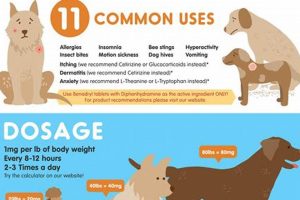 Best Dog Car Sickness Benadryl Dosage Guide My Caring Dog – Tips, Stories, and Care Guides for Loving Pet Owners Best Dog Car Sickness Benadryl Dosage Guide | My Caring Dog – Tips, Stories, and Care Guides for Loving Pet Owners