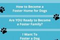Find Loving Foster Dogs for Adoption Today! My Caring Dog – Tips, Stories, and Care Guides for Loving Pet Owners Find Loving Foster Dogs for Adoption Today! | My Caring Dog – Tips, Stories, and Care Guides for Loving Pet Owners