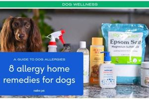 Just Food For Dogs Skin & Allergy Care My Caring Dog – Tips, Stories, and Care Guides for Loving Pet Owners Just Food For Dogs Skin & Allergy Care | My Caring Dog – Tips, Stories, and Care Guides for Loving Pet Owners