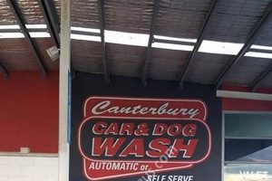 Best Canterbury Car & Dog Wash | Top Services My Caring Dog – Tips, Stories, and Care Guides for Loving Pet Owners Best Canterbury Car & Dog Wash | Top Services | My Caring Dog – Tips, Stories, and Care Guides for Loving Pet Owners