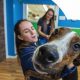Best Dog Day Care in Spartanburg SC: Top Picks | My Caring Dog – Tips, Stories, and Care Guides for Loving Pet Owners