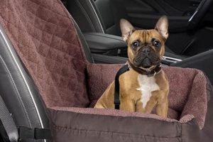 Best Dog Car Seat Clip for Safe Travels My Caring Dog – Tips, Stories, and Care Guides for Loving Pet Owners Best Dog Car Seat Clip for Safe Travels | My Caring Dog – Tips, Stories, and Care Guides for Loving Pet Owners