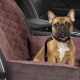 Best Dog Car Seat Clip for Safe Travels | My Caring Dog – Tips, Stories, and Care Guides for Loving Pet Owners