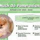 The True Cost of Dog Ownership: A Guide | My Caring Dog – Tips, Stories, and Care Guides for Loving Pet Owners
