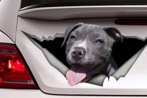 Cool Dog Car Stickers & Decals My Caring Dog – Tips, Stories, and Care Guides for Loving Pet Owners Cool Dog Car Stickers & Decals | My Caring Dog – Tips, Stories, and Care Guides for Loving Pet Owners