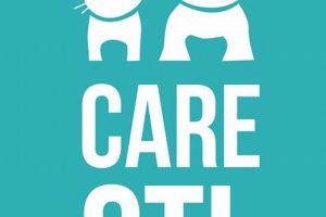 Care Stl | My Caring Dog – Tips, Stories, and Care Guides for Loving Pet Owners