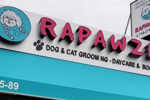 Rapawzel Dog Grooming & Day Care | My Caring Dog – Tips, Stories, and Care Guides for Loving Pet Owners