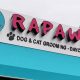 Rapawzel Dog Grooming & Day Care | My Caring Dog – Tips, Stories, and Care Guides for Loving Pet Owners