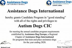Adi Service Dog Certification My Caring Dog – Tips, Stories, and Care Guides for Loving Pet Owners Adi Service Dog Certification | My Caring Dog – Tips, Stories, and Care Guides for Loving Pet Owners